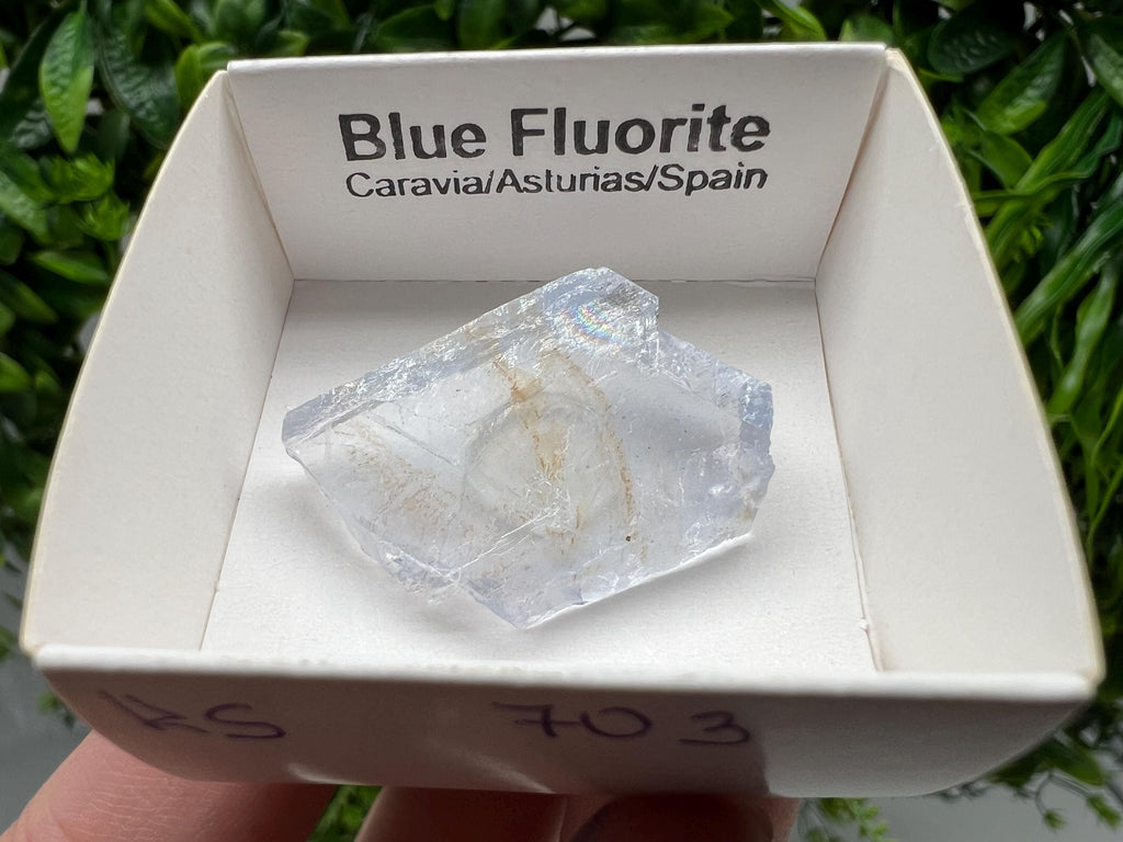 Blue Fluorite Mineral Specimen: Spain Collection (3/2 cm