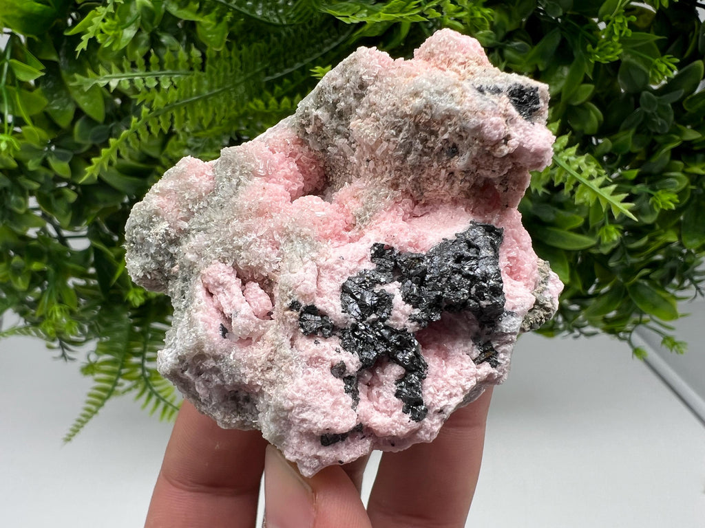 RARE Rhodochrosite with Calcite, Starnica Mine, Bulgaria
