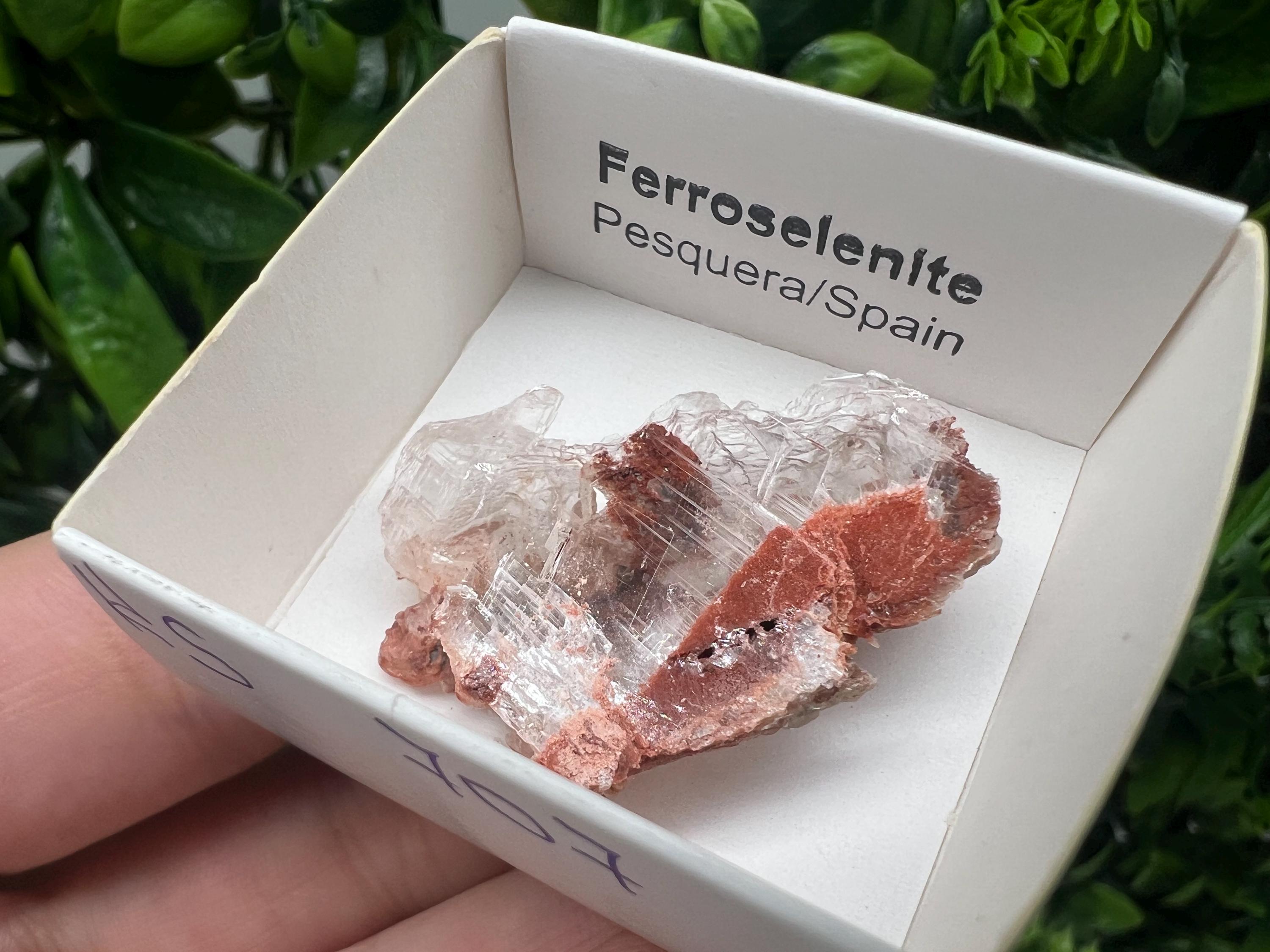 Rare Ferroselenite Specimen: La Pesquera, Spain Mineral Crystal (3.3/3 cm)