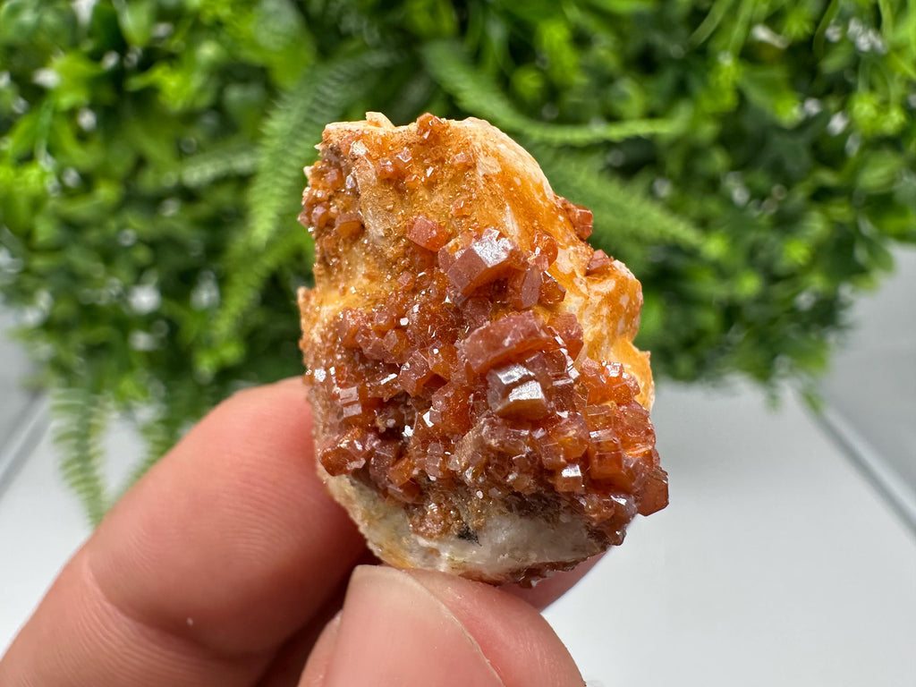 Red Vanadinite on Barite, Morocco Crystal Cluster