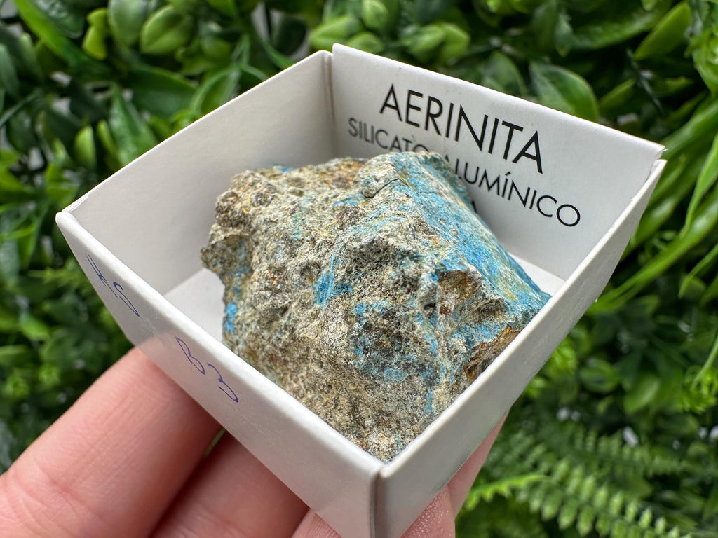 Rare Raw Aerinite Mineral Specimen: Lleida, Spain Crystal
