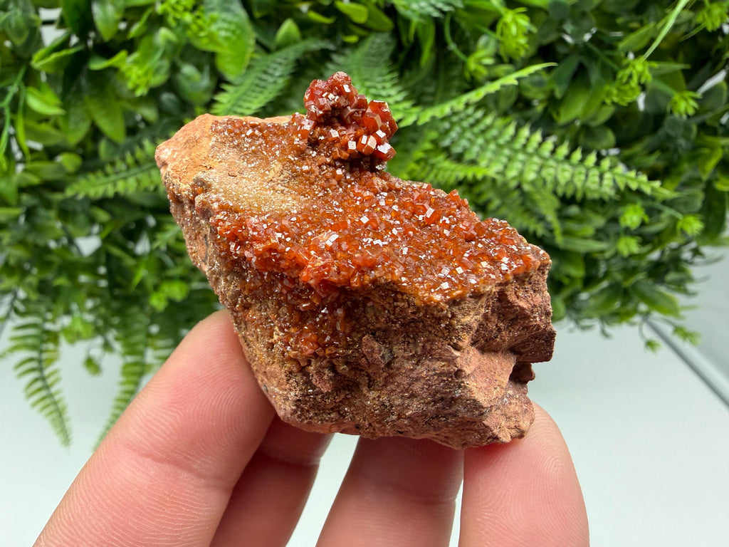 Red Vanadinite on Matrix from Marocco,crystal minerals Speciment cluster Vanadinite crystal Vanadinite Geology Vanadinite cluster minerals