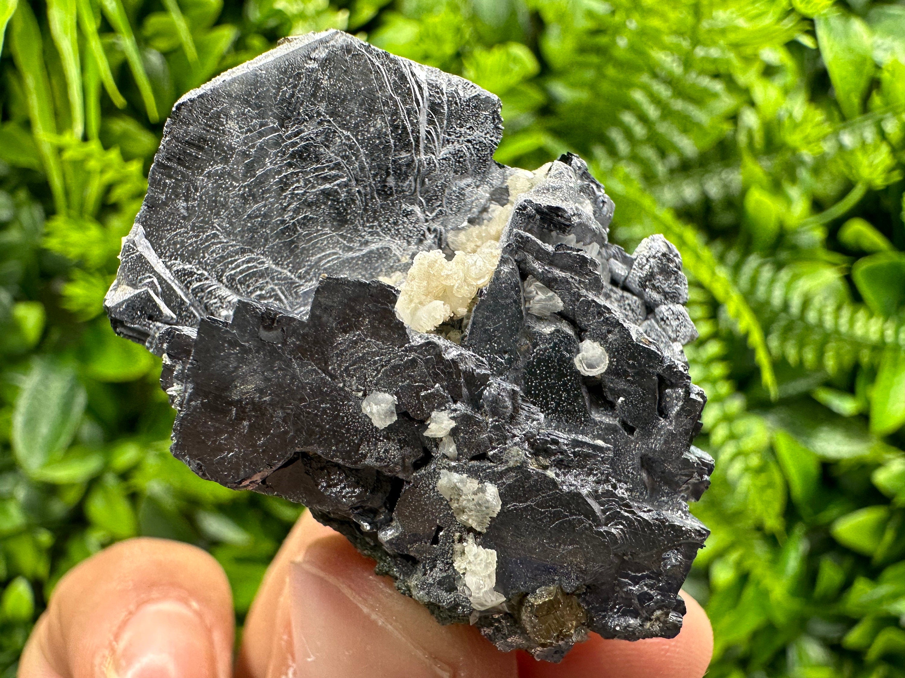 Galena Cluster: Shiny Mineral Stone from Borieva Mine, Bulgaria