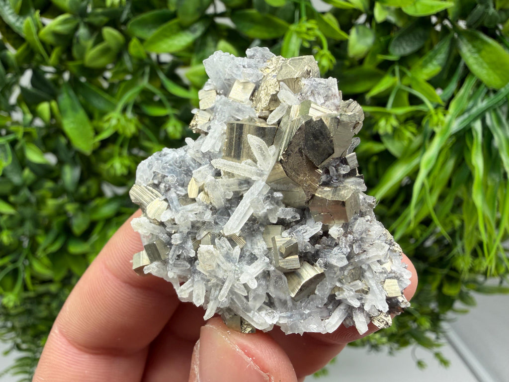 Pyrite Sphalerite Quartz  Mineral Specimen, Krushev dol Mine