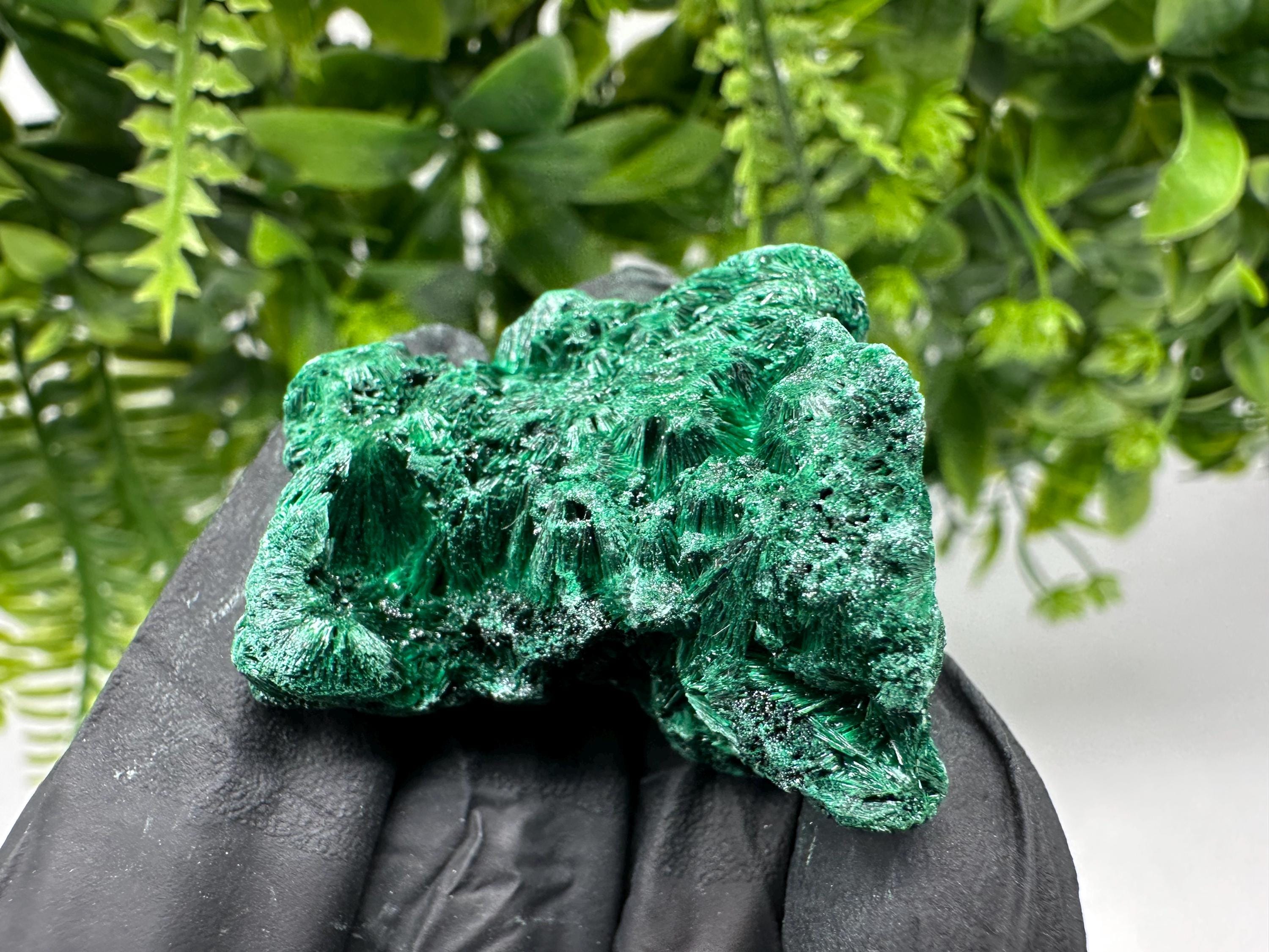 Malachite Crystal from Congo,Minerals,Crystals from Congo,Green Malachite, Malachite,Natural Malachite,Malachite Stone,Chakra, Specimens