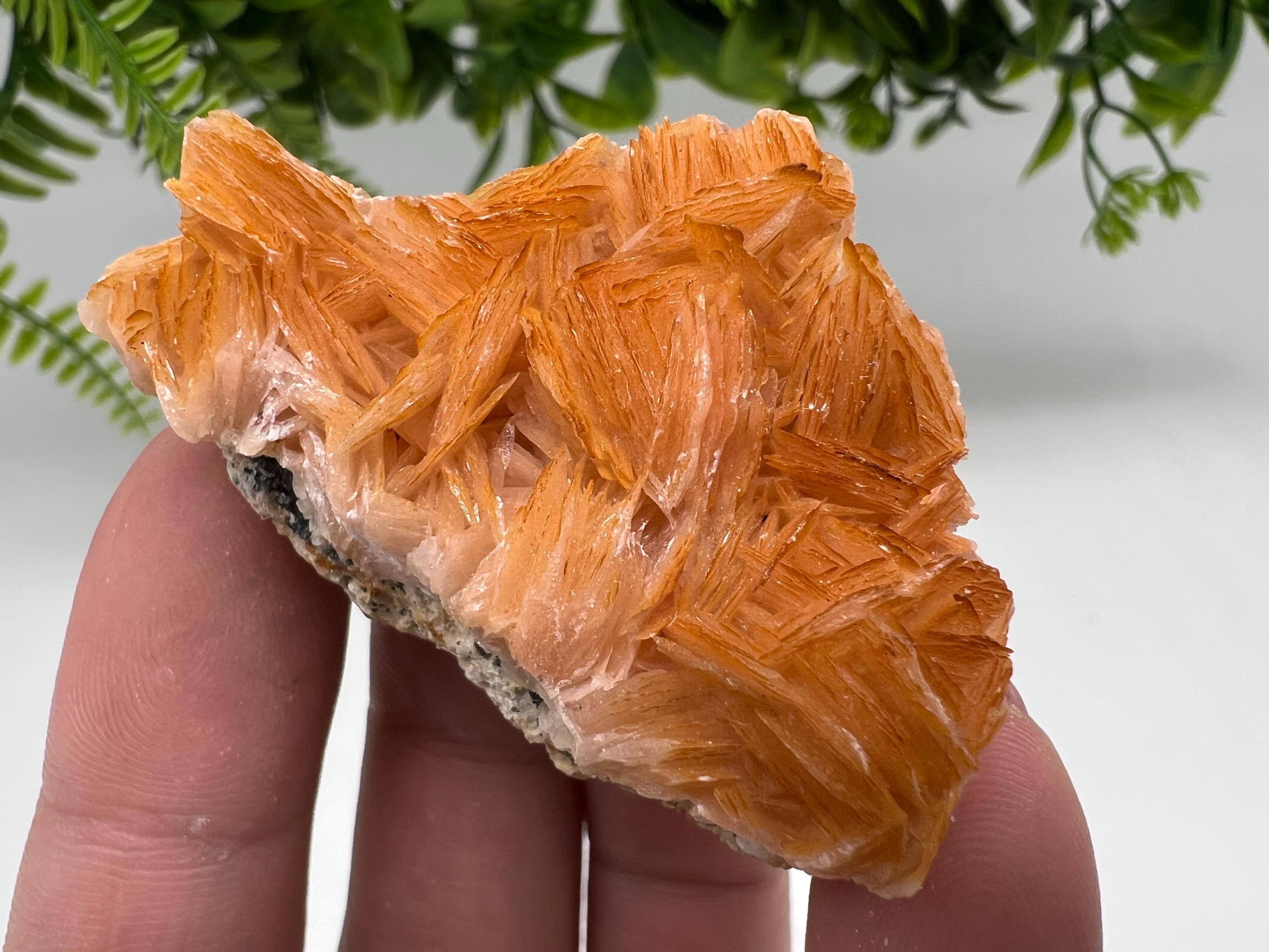 Wonderful Baryte with Cerussite on Galena from Morocco,Crystal, Mineral,Specimen,Cluster,Crystals,Barite Crystal,Cerussite Crystal,Specimen