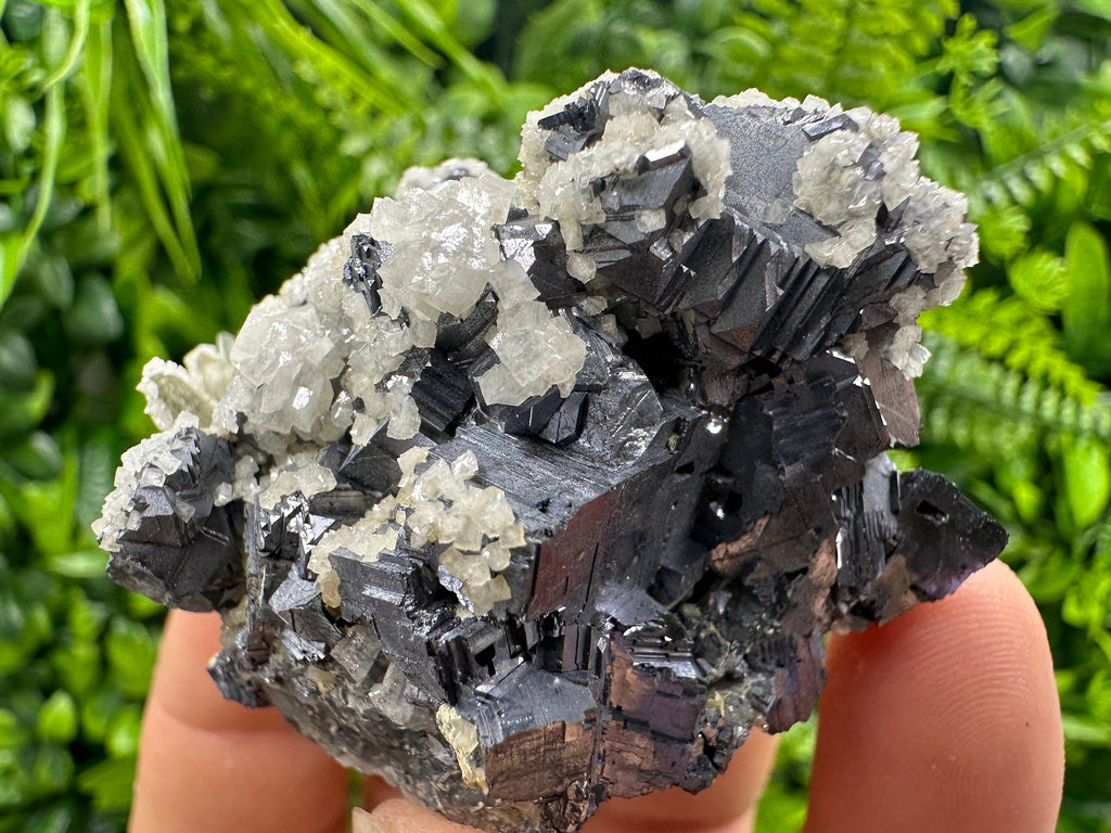 Rare Calcite on Galena: Borieva Mine, Madan, Bulgaria