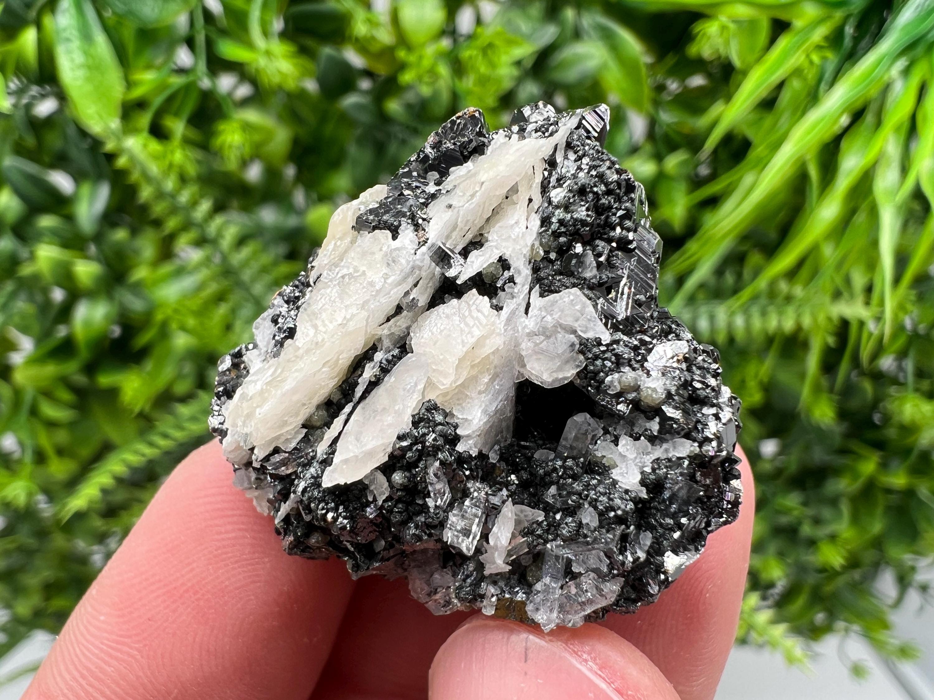 Aesthetic bigger Sphalerite whit Chlorite from Borieva mine Madan Bulgaria natural minerals souvenir crystal gift home decor stone rock