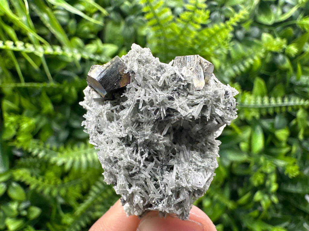 Pyrite on Green Quartz Mineral Specimen, Borieva Mine Crystal