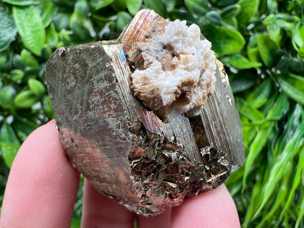 Rainbow Pyrite with Calcite, Natural Mineral Souvenir, Borieva Bulgaria