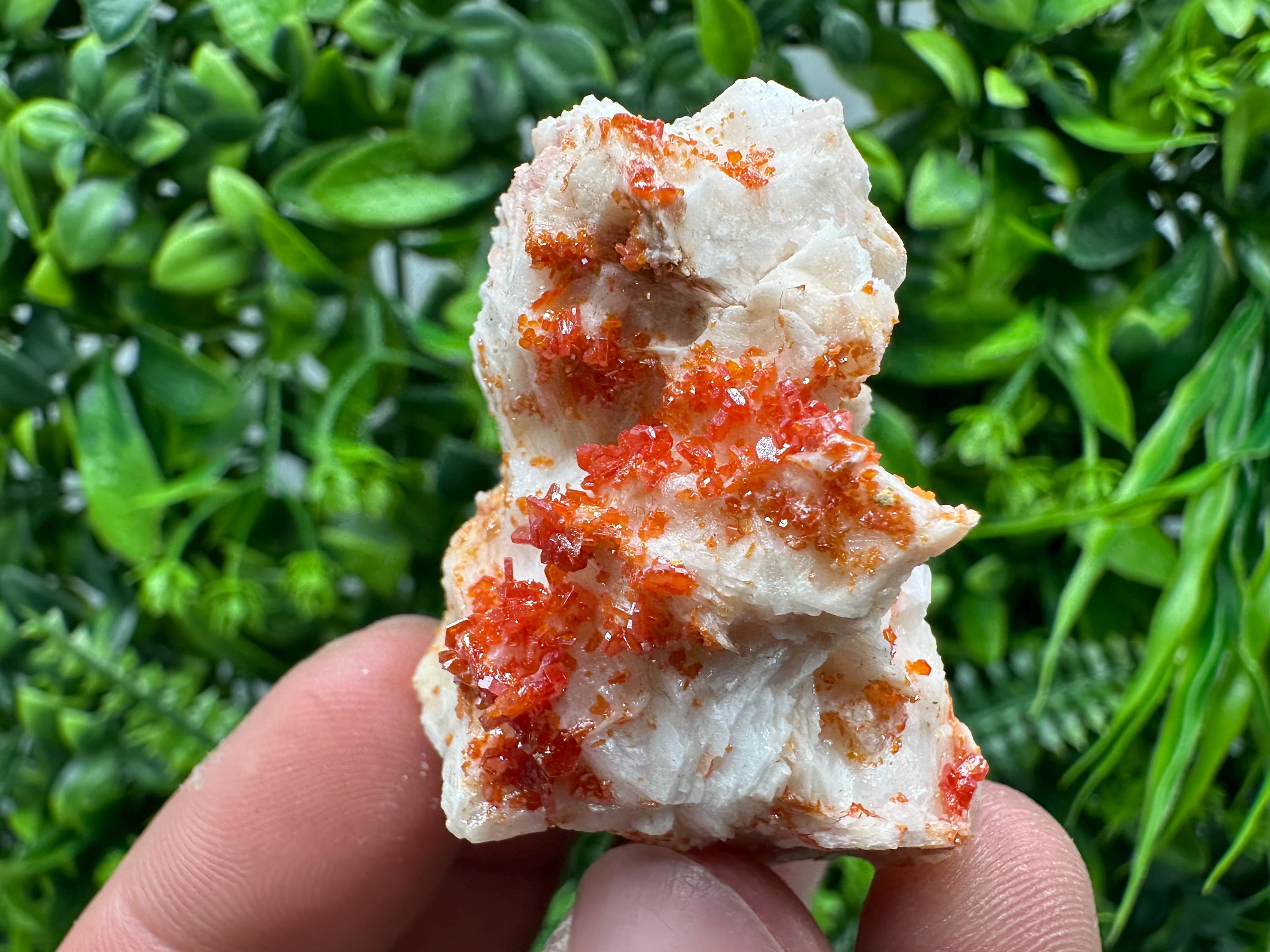Red Vanadinite Crystal on Barite, Morocco Mineral Specimen