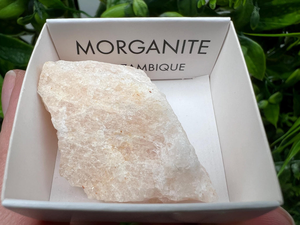 Rare Raw Morganite Mineral Specimen, Mozambique Crystal