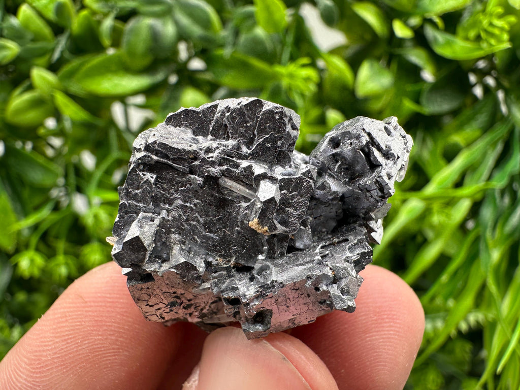 Skeletal Galena on Sphalerite Crystal Mineral Specimen