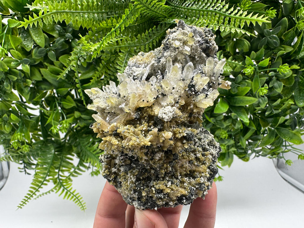 Chlorite Epidote Quartz Specimen: Borieva Mine, Bulgaria