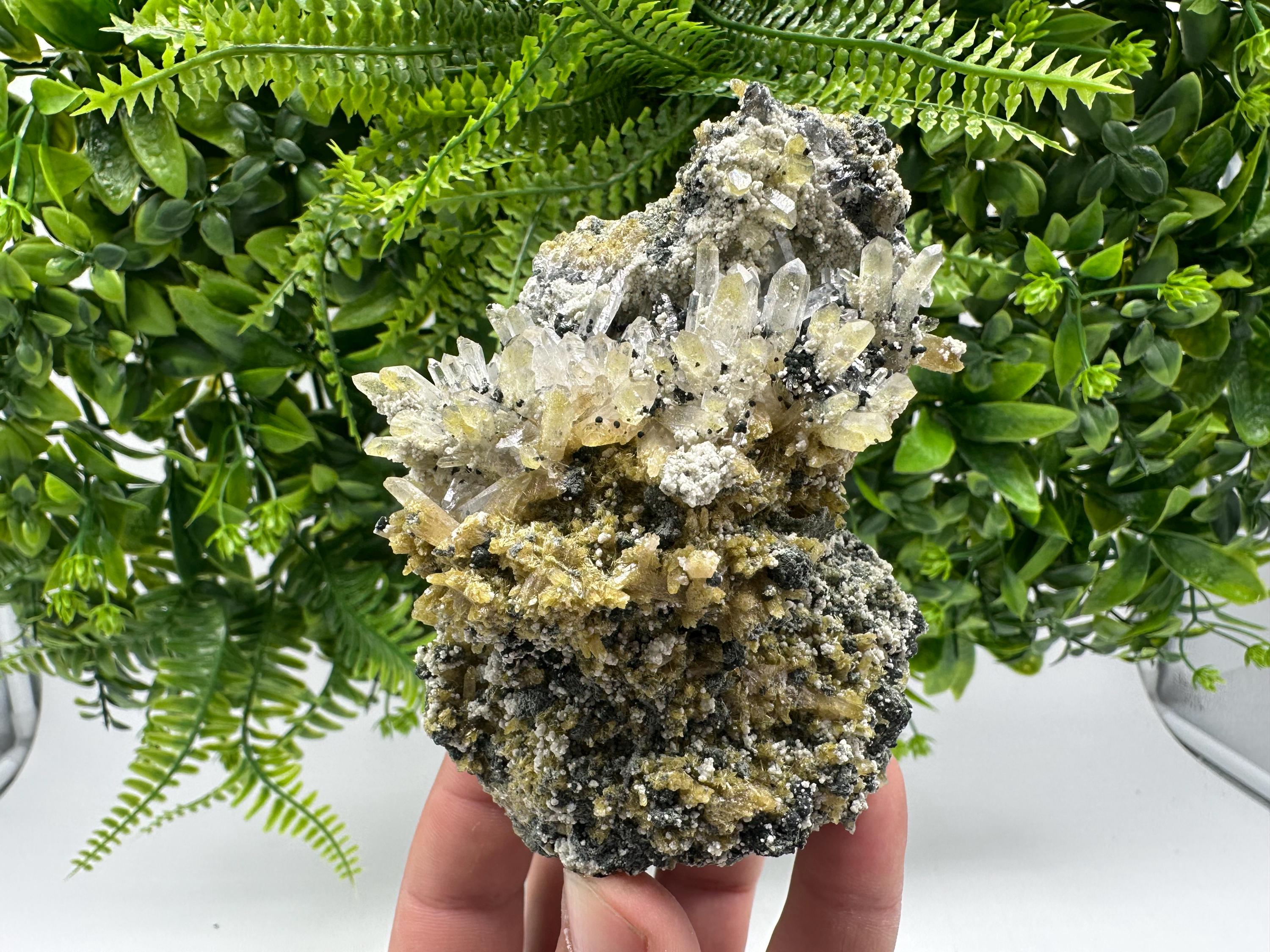 Chlorite Epidote Quartz Specimen: Borieva Mine, Bulgaria