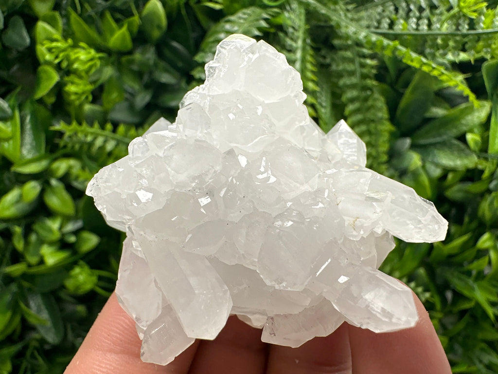 Sparkly Quartz Cluster, Androvo Mine Mineral Specimen