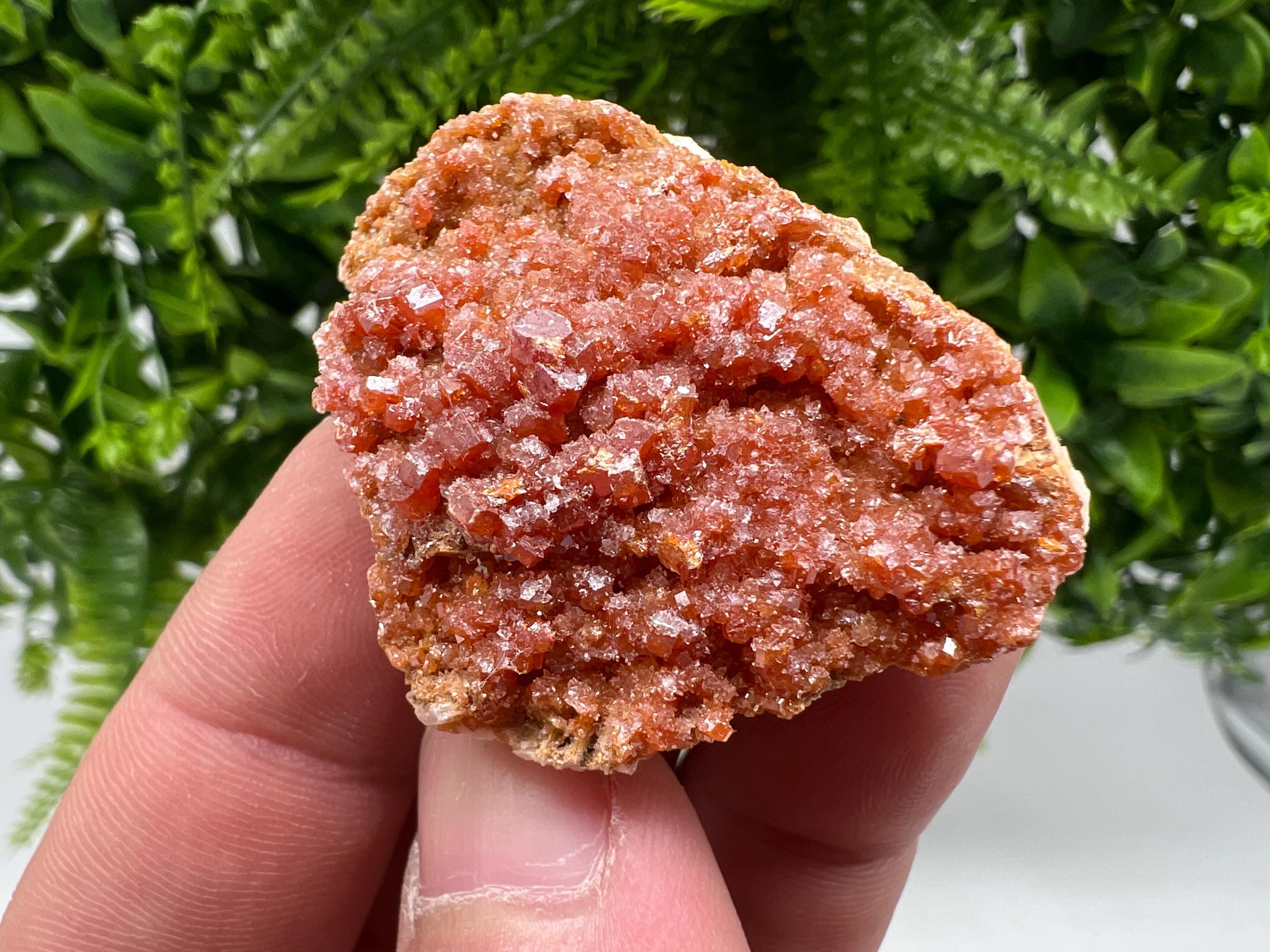 Red Vanadinite on Barite from Marocco,crystal minerals Speciment cluster Vanadinite crystal Vanadinite Geology Vanadinite cluster minerals