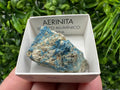 Rare Raw Aerinite Mineral Specimen: Lleida, Spain Crystal