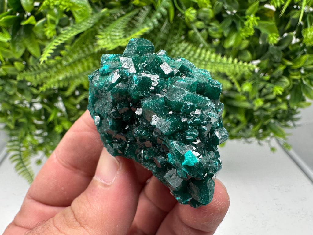 Stunning Green Dioptase from Sanda Hills,Mindouli,Pool Department,Mindouli District,Congo,green Dioptase,Dioptas Crystal,Dioptase collecting