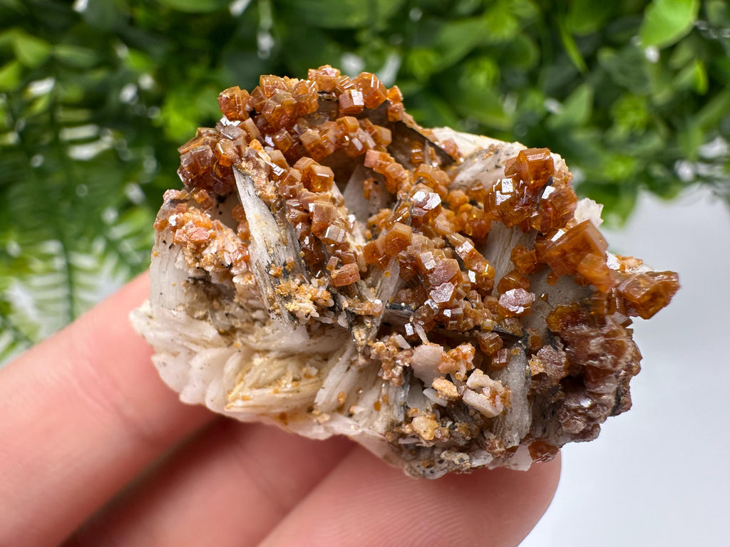 Red Vanadinite on Barite from Marocco,crystal minerals Speciment cluster Vanadinite crystal Vanadinite Geology Vanadinite cluster minerals