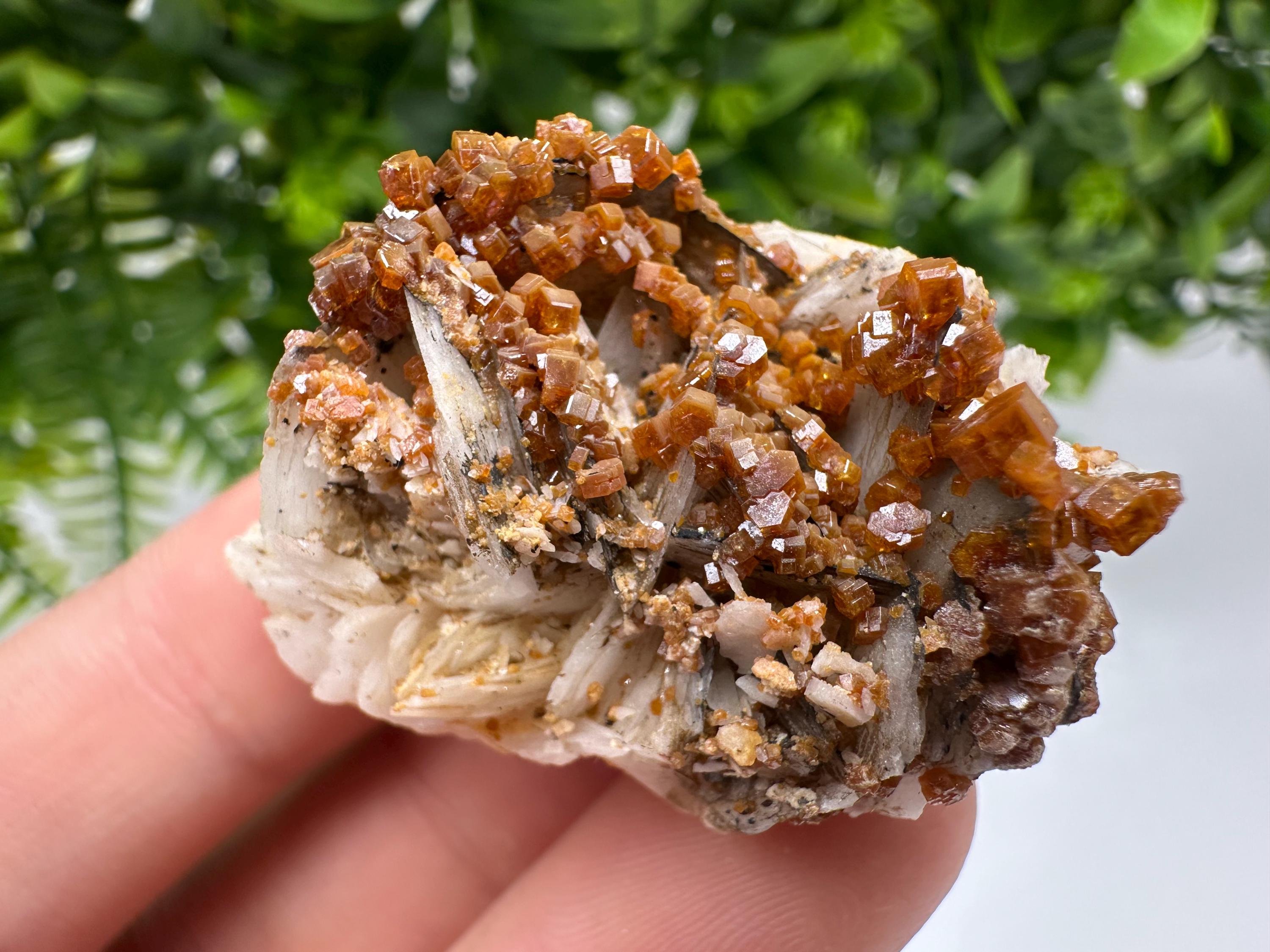 Red Vanadinite on Barite from Marocco,crystal minerals Speciment cluster Vanadinite crystal Vanadinite Geology Vanadinite cluster minerals