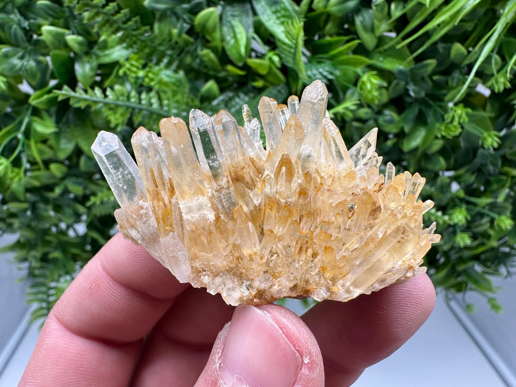 Transparent Quartz Limonite Crystal Cluster, 9th September mine,Mine, Bulgaria,natural,collection mineral specimen