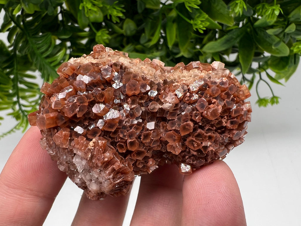 Large Aragonite Sputnik Cluster: Raw Moroccan Crystal Stone