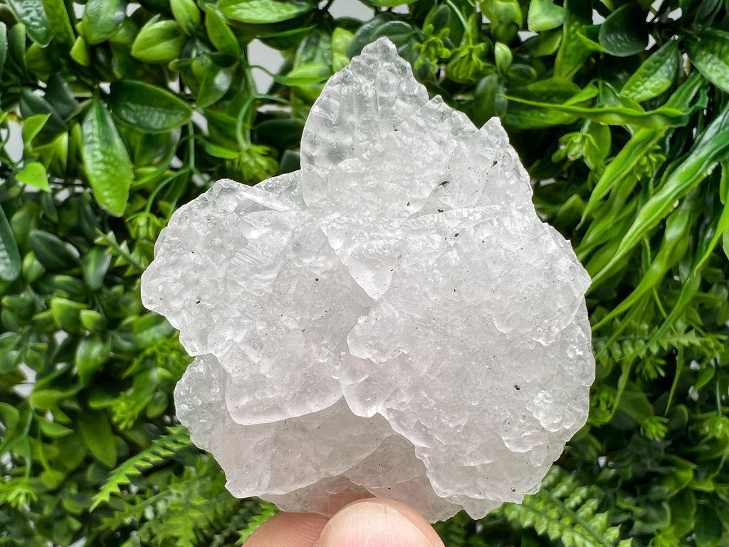 Mangano Calcite with Galena, Borieva Mine Crystal, Bulgaria
