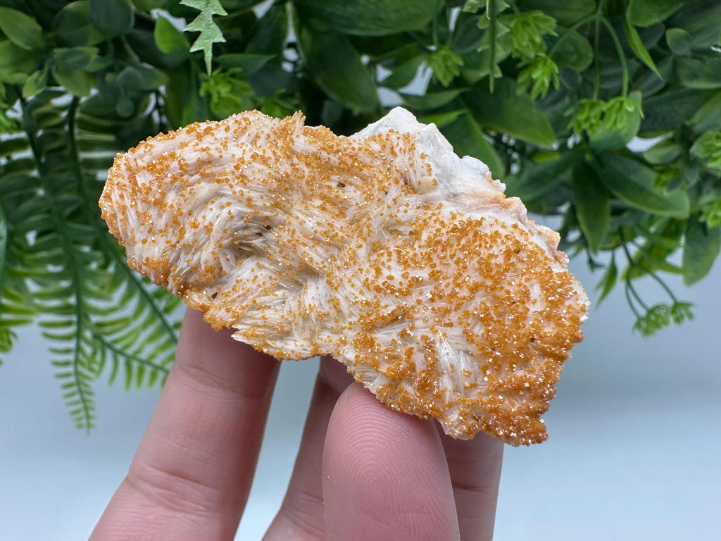 Red Vanadinite on Barite Crystal Specimen from Morocco, Mineral Cluster