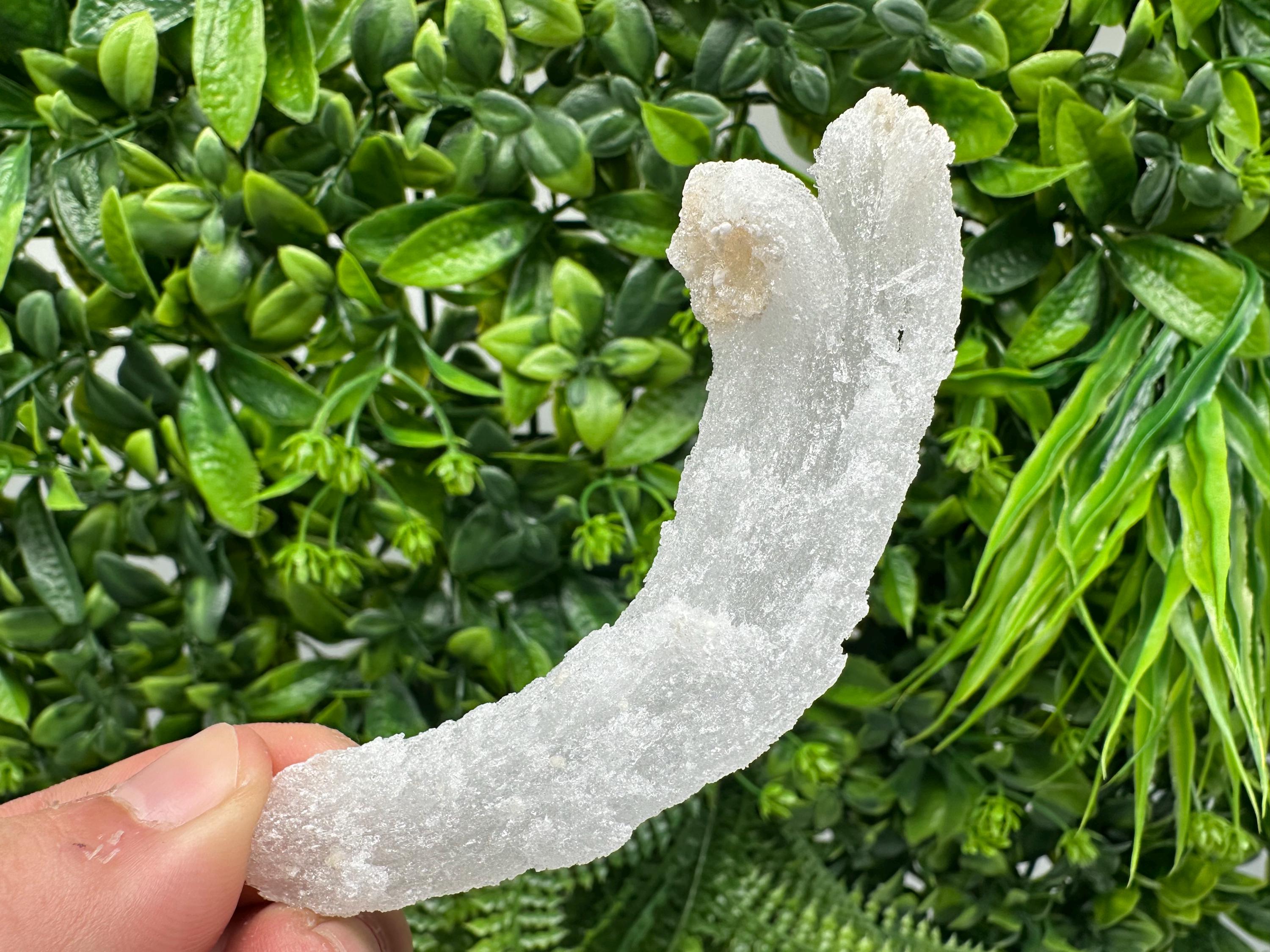 White Selenite Gypsum "Ram's Horn'' Selenite,from Guizhou,China,perfect Shape and Luster,Fluorescent Selenite Gypsum,minerals specimen,colle