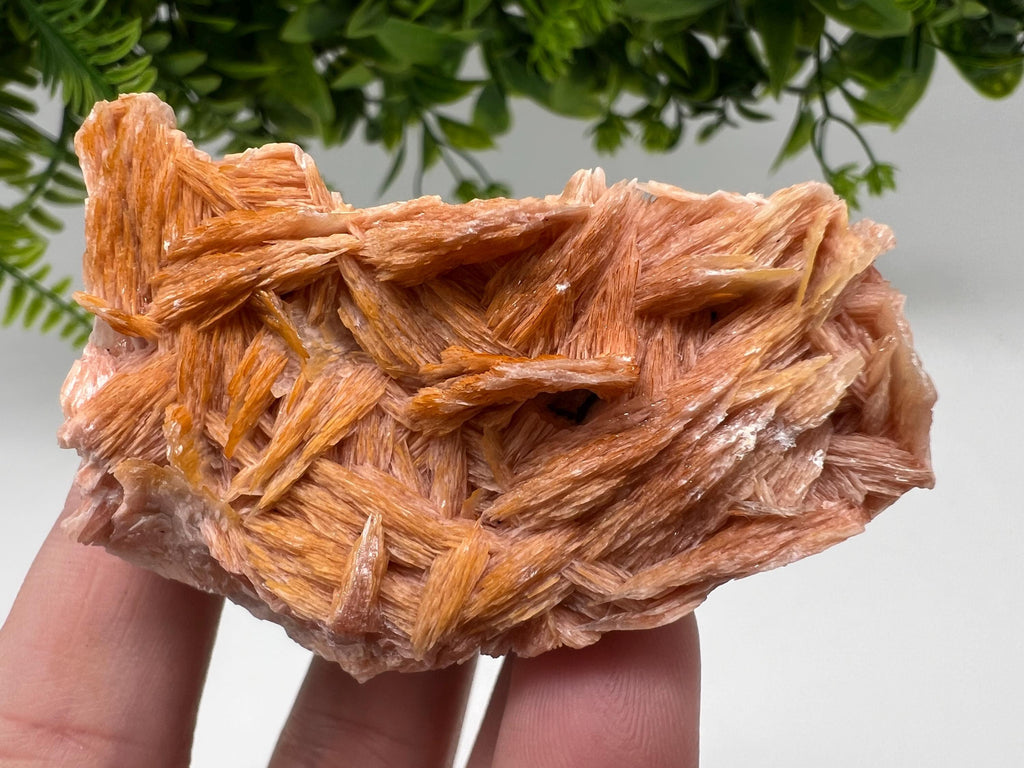 Wonderful Baryte with Cerussite on Galena from Morocco,Crystal, Mineral,Specimen,Cluster,Crystals,Barite Crystal,Cerussite Crystal,Specimen