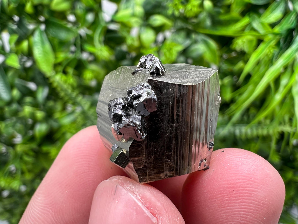Rare Borieva Mine Pyrite Cluster, Rainbow Crystallization Specimen