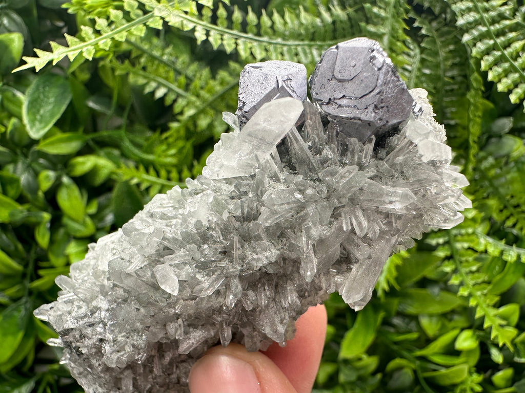 Shiny Galena on Green Quartz with Chlorite Inclusions - Borieva Mine