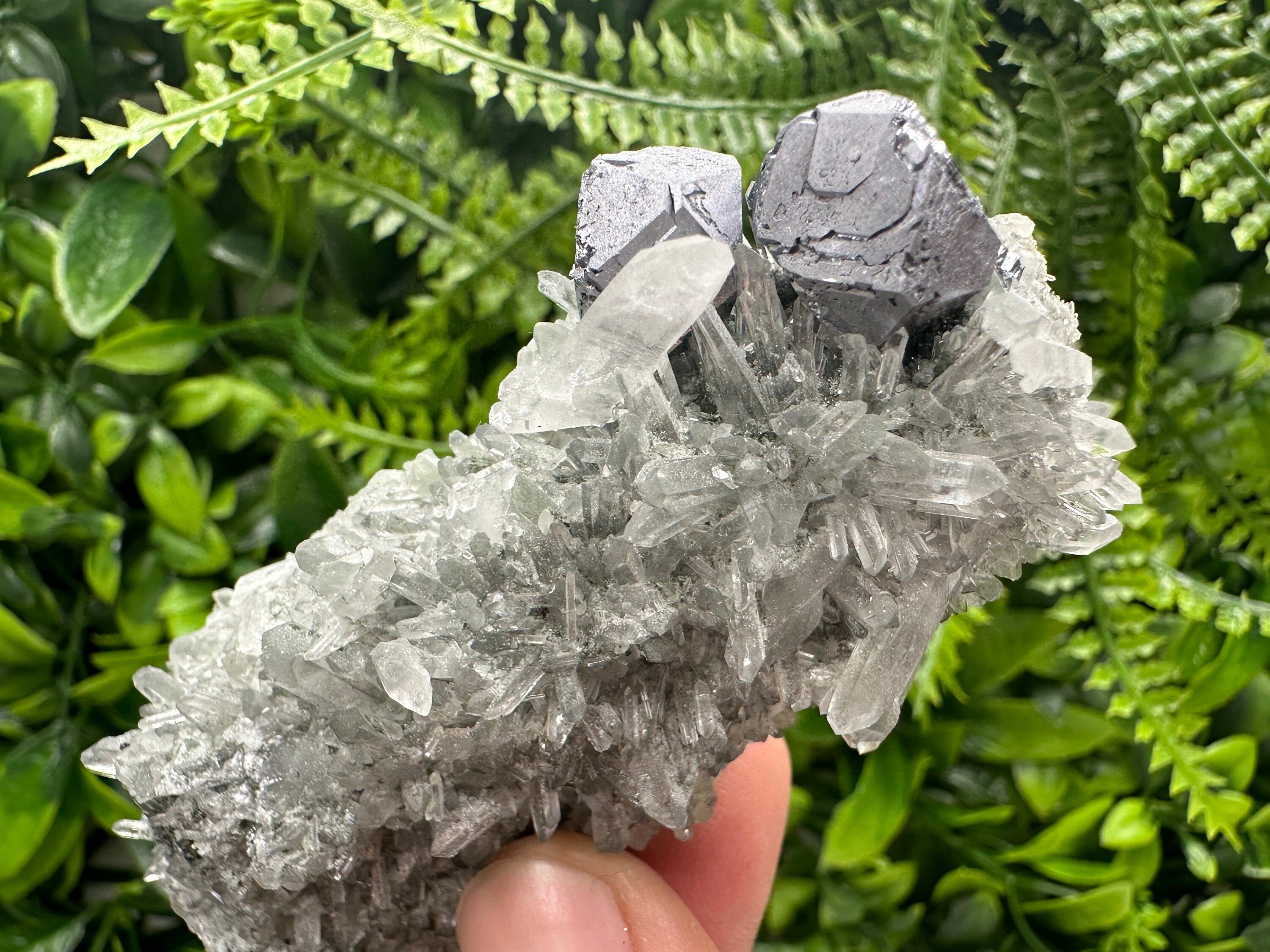 Shiny Galena on Green Quartz with Chlorite Inclusions - Borieva Mine