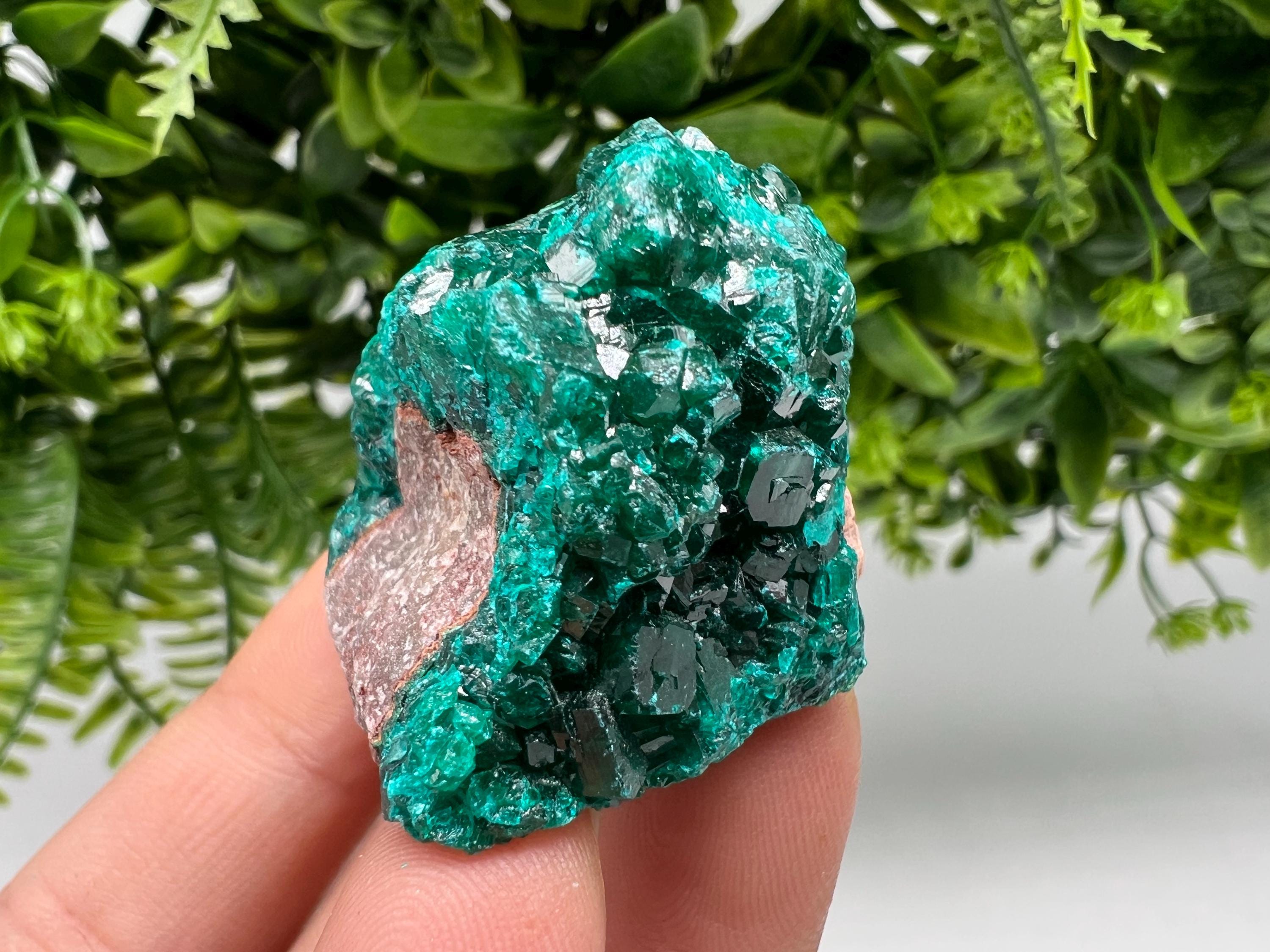Stunning Green Dioptase from Sanda Hills,Mindouli,Pool Department,Mindouli District,Congo,green Dioptase,Dioptas Crystal,Dioptase collecting
