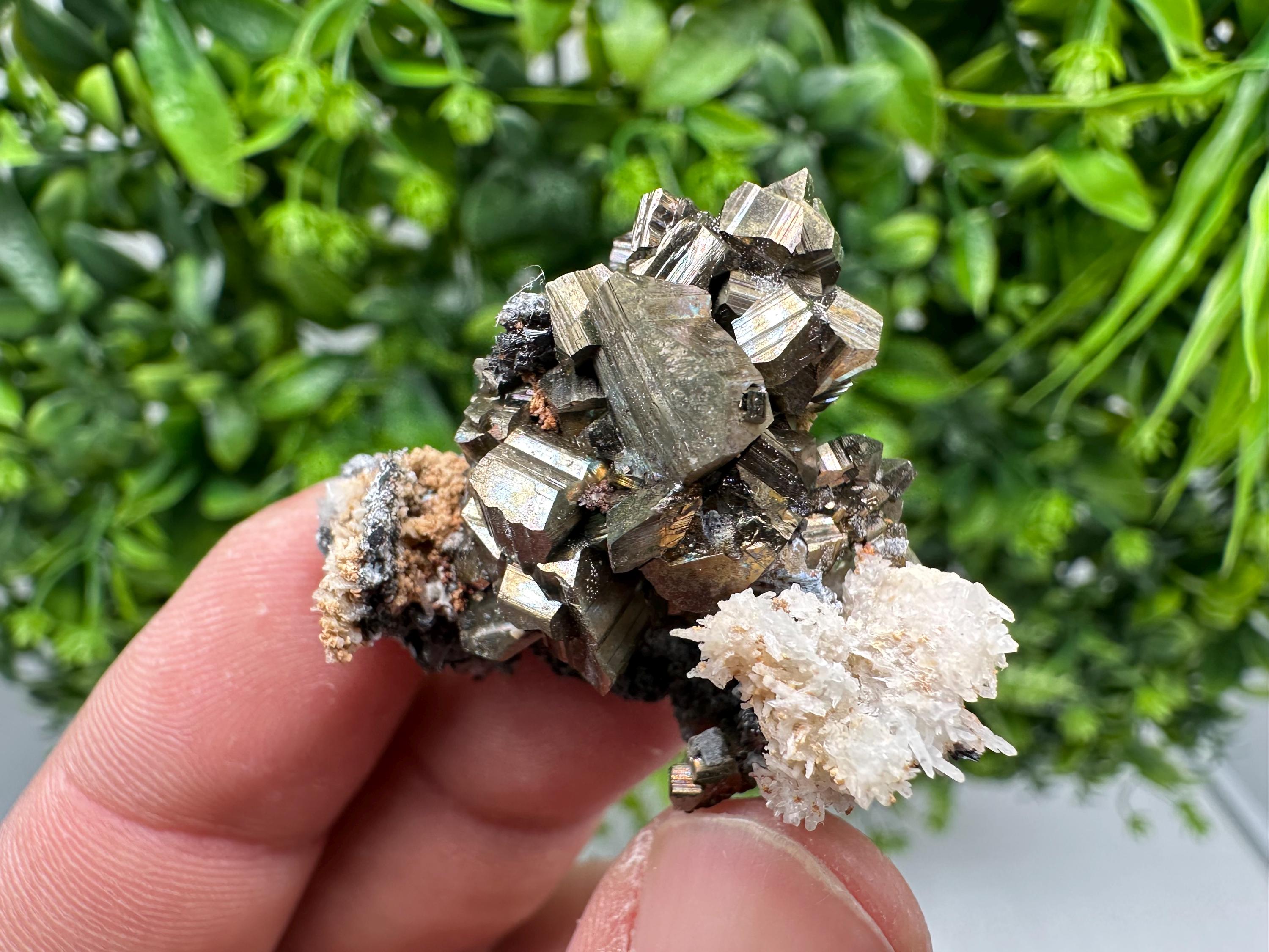 Golden Pyrite,Sphalerite from 9th September mine,Madan,Bulgaria,natural,collectible mineral specimen,home decor crystal,Pyrite cluster,