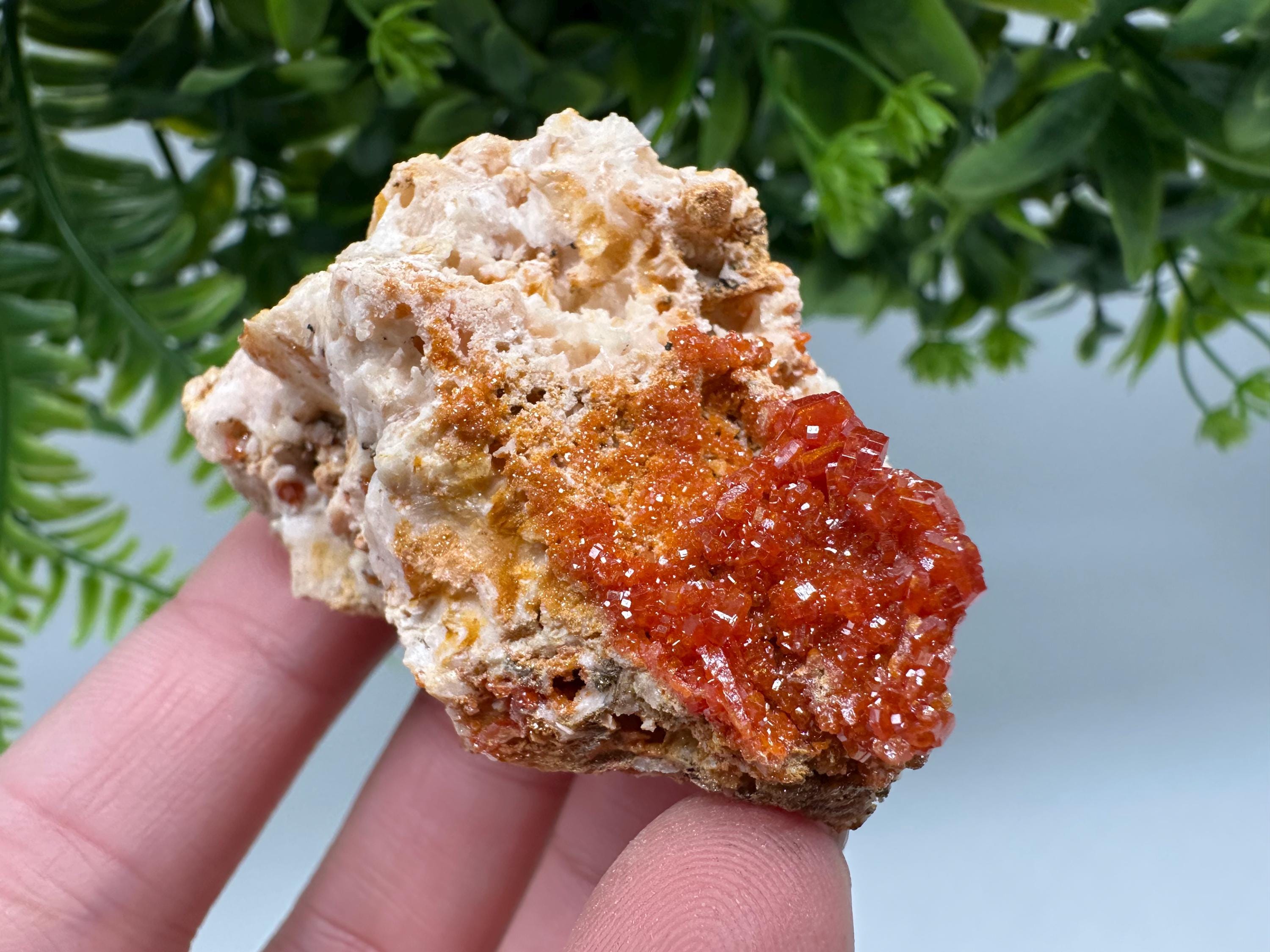 Red Vanadinite on Barite from Marocco,crystal minerals Speciment cluster Vanadinite crystal Vanadinite Geology Vanadinite cluster minerals