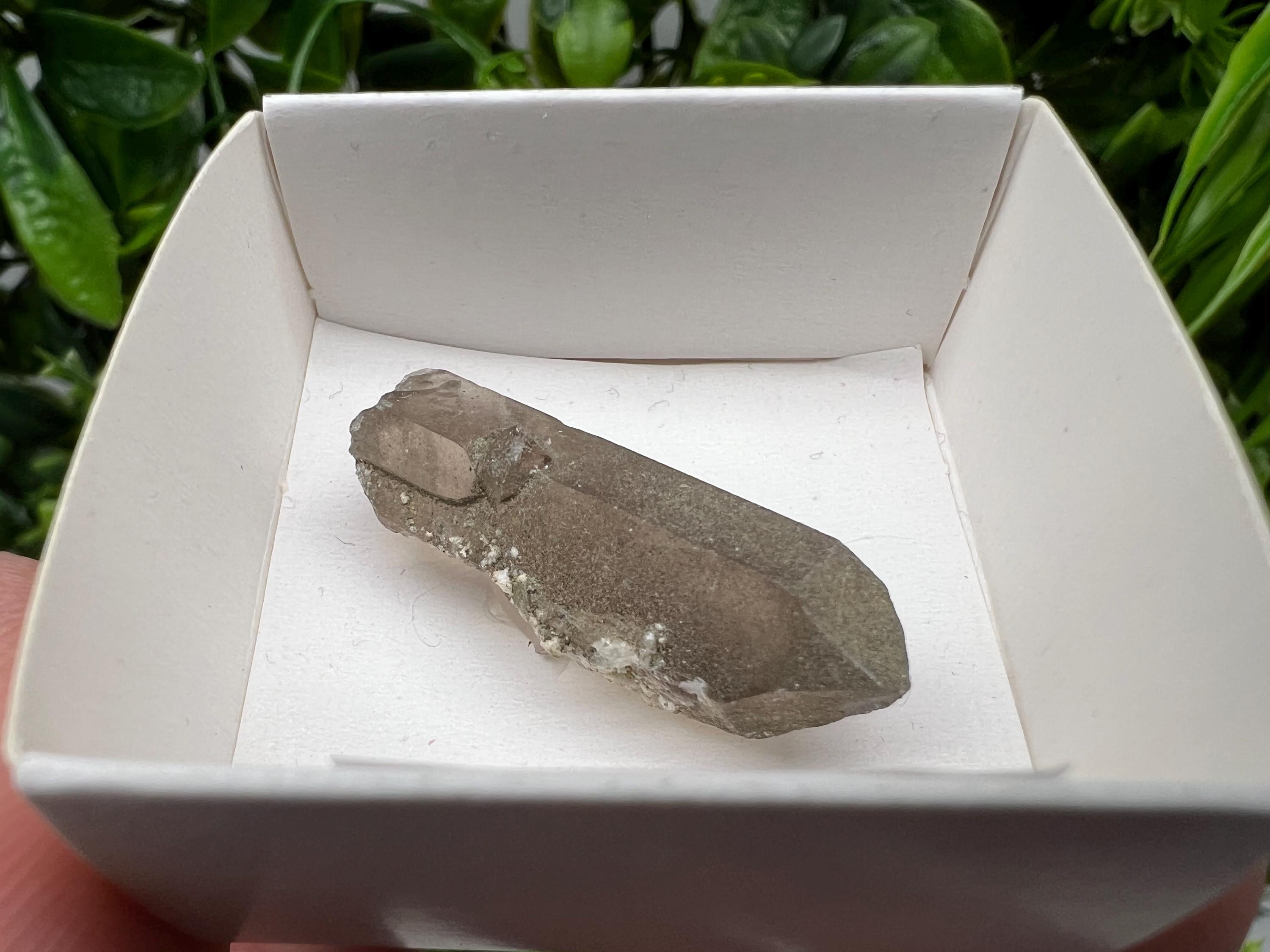 Rare Fedenstock Smoky Quartz Point, Switzerland Mineral Specimen (35MM)