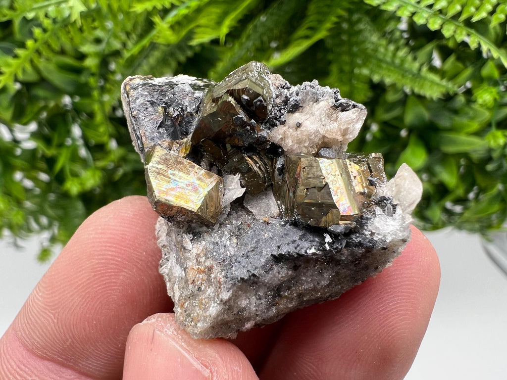 Pyrite with Hematite, Sphalerite and Quartz Specimen, Bulgaria