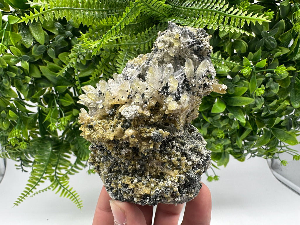 Chlorite Epidote Quartz Specimen: Borieva Mine, Bulgaria