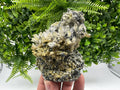 Chlorite Epidote Quartz Specimen: Borieva Mine, Bulgaria
