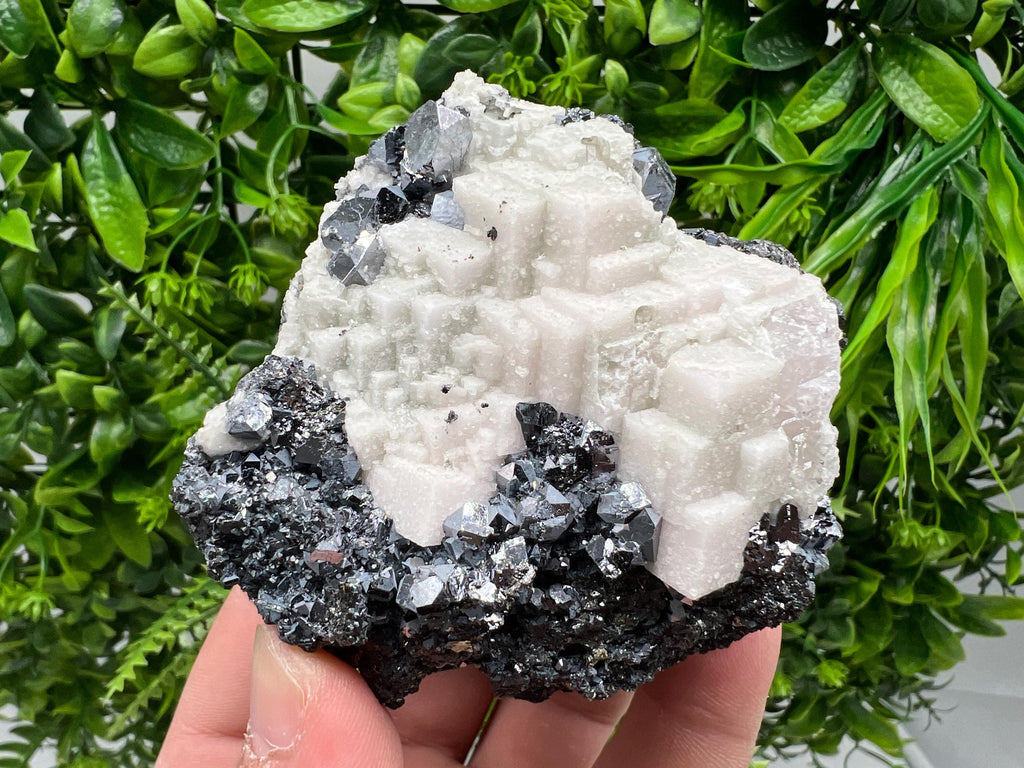 Stunning Shpinel Galena on Sphalerite,Calcite from Borieva mine,Madan,Bulgaria,Natural,collectible mineral specimen,home decor,collectible’s