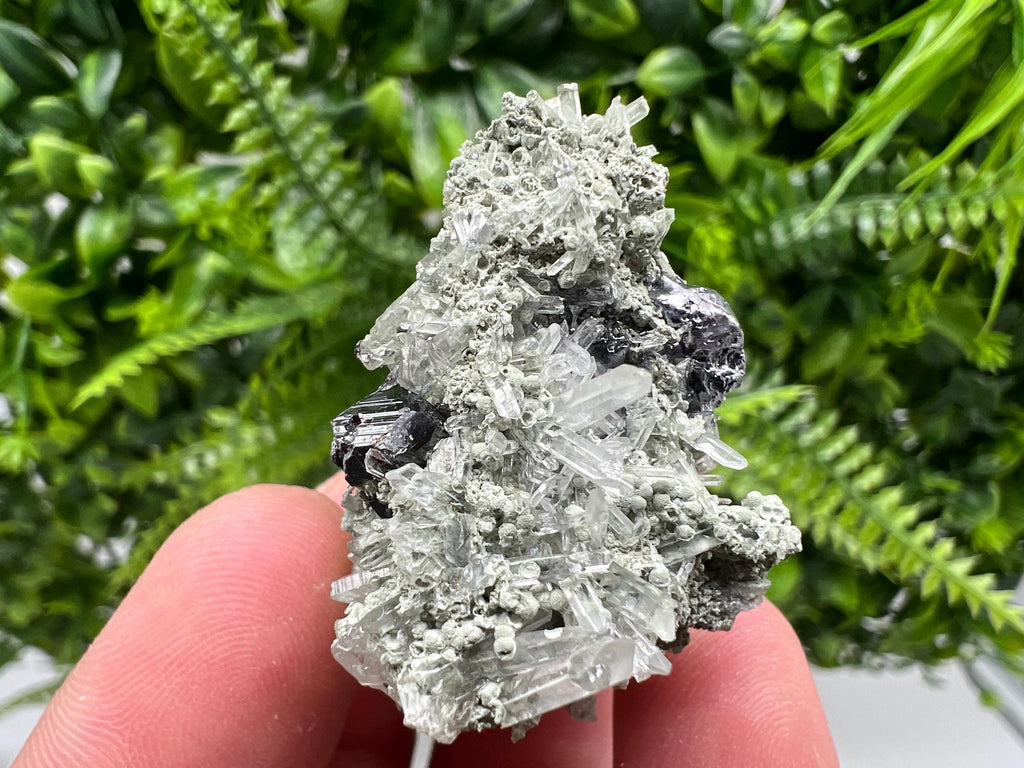 Sphalerite with Chlorite Crystal, Borieva Mine, Bulgaria