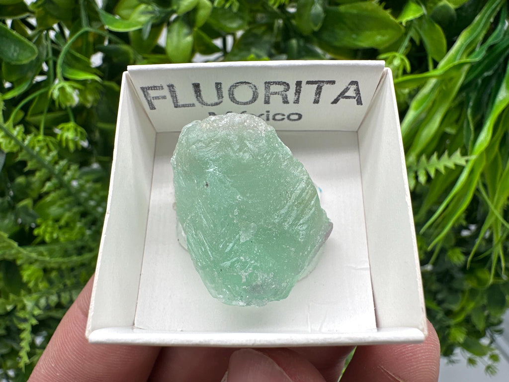 Rare Rainbow Fluorite from Mexico: Raw Meditation Stone
