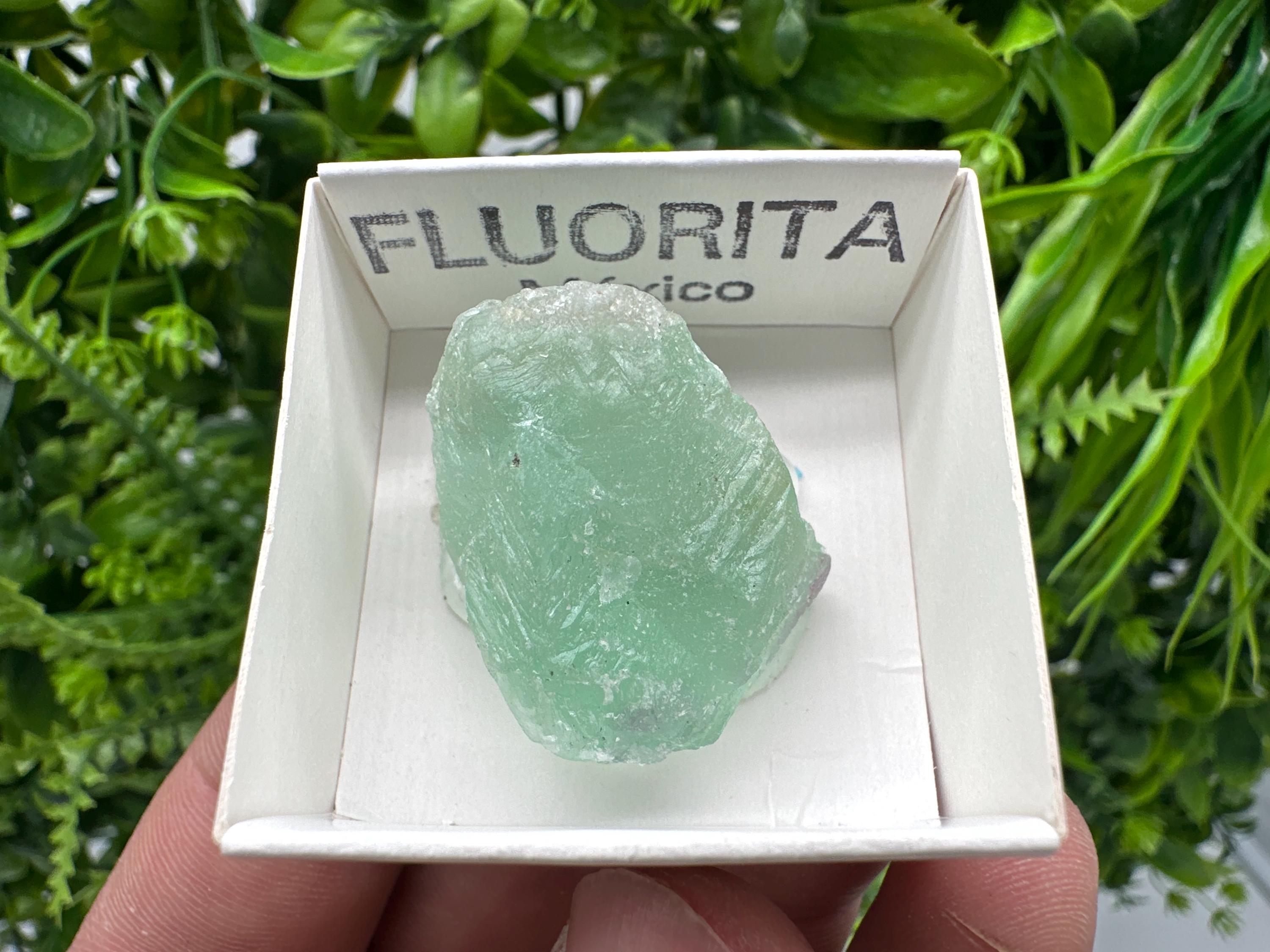 Rare Rainbow Fluorite from Mexico: Raw Meditation Stone
