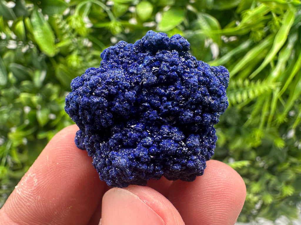 Crystallized Azurite-Kerrouchen,Morocco-Blue Azurite Specimen-High Quality Blue Azurite-Azurite Mineral Specimen, gemmy,lustrous of Azurite