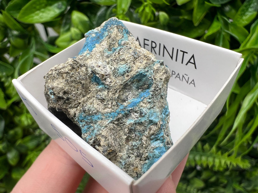 Rare Raw Aerinite Mineral Specimen: Lleida Spain Crystal Collection
