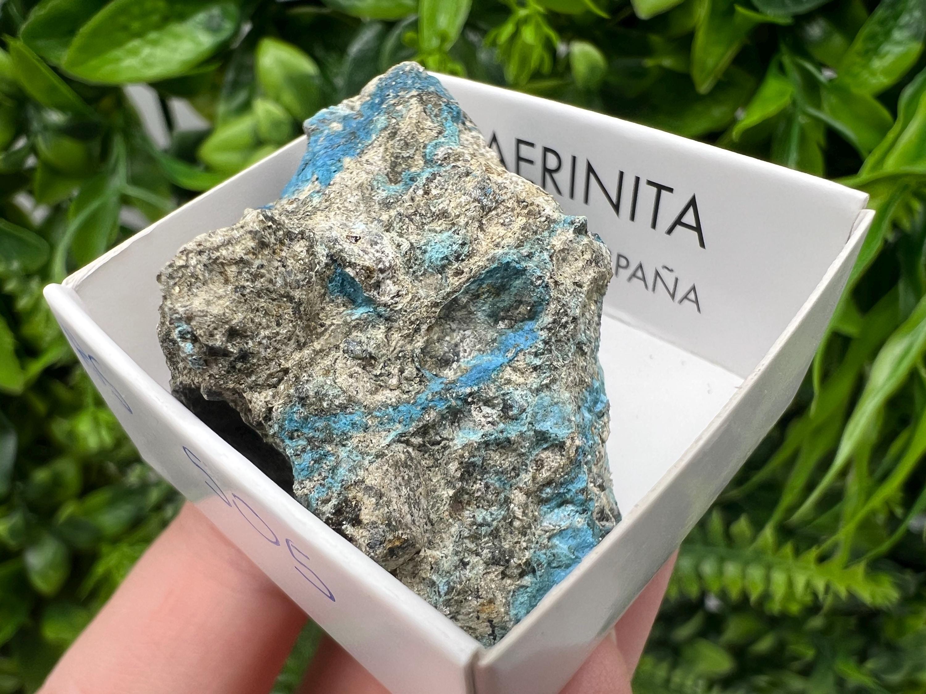Rare Raw Aerinite Mineral Specimen: Lleida Spain Crystal Collection