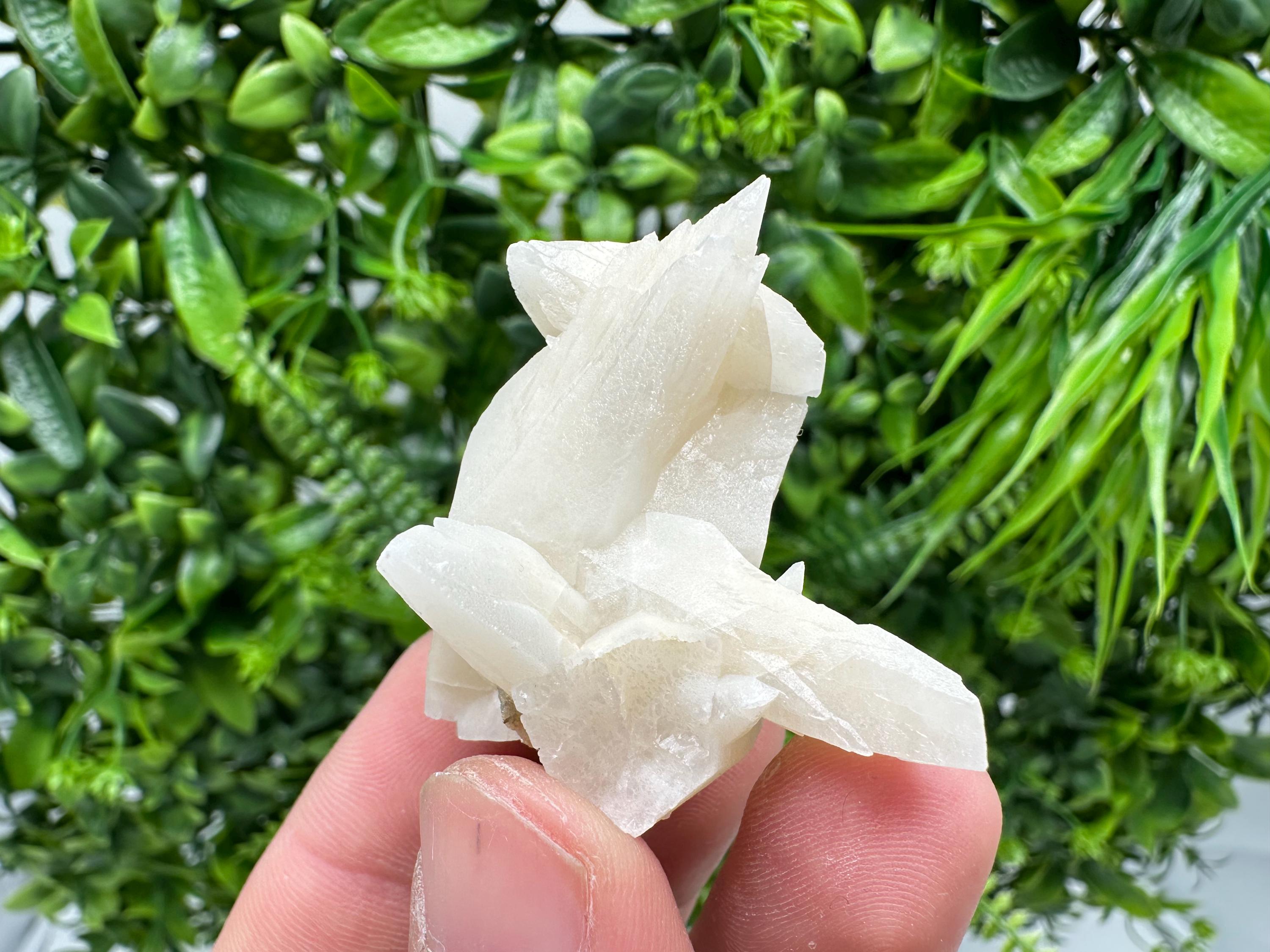 Calcite on Aragonite: Djurcovo Mine, Bulgaria Crystal
