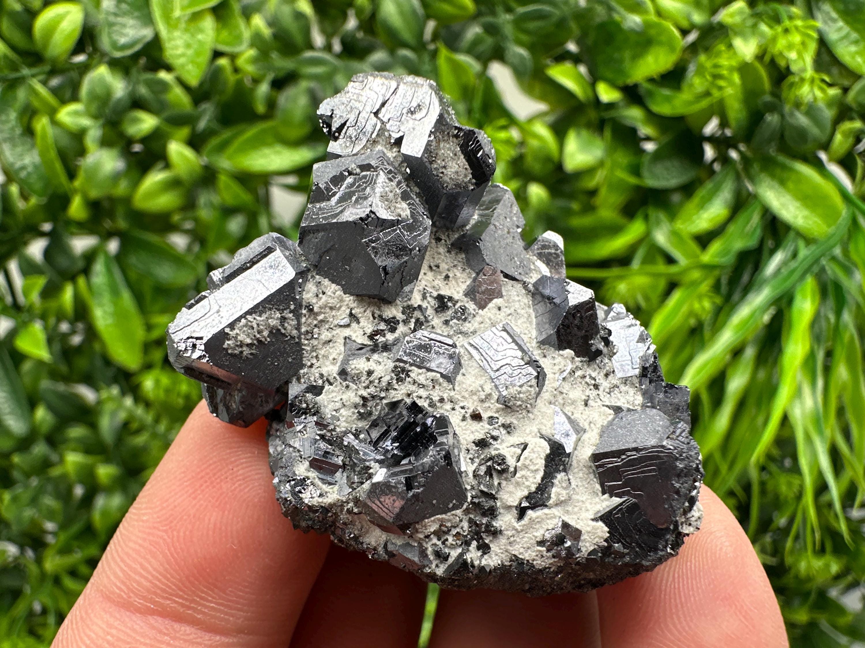 Stunning Shpinel Galena on Sphalerite from Borieva mine,Madan,Bulgaria,Natural,collectible mineral specimen,home decor,collectible’s crystal